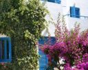 Hotel GALEANA BEACH 3* - Creta Chania, Grecia.