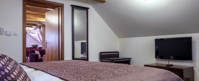 Hotel EMBASSY 4* - Praga, Cehia. - Photo 7